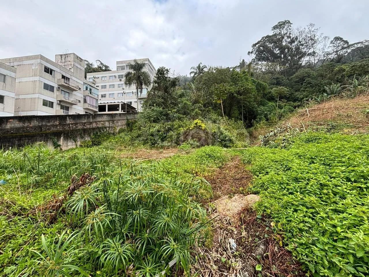 Terreno para venda em Ponta De Baixo com 360 m² — foto 2