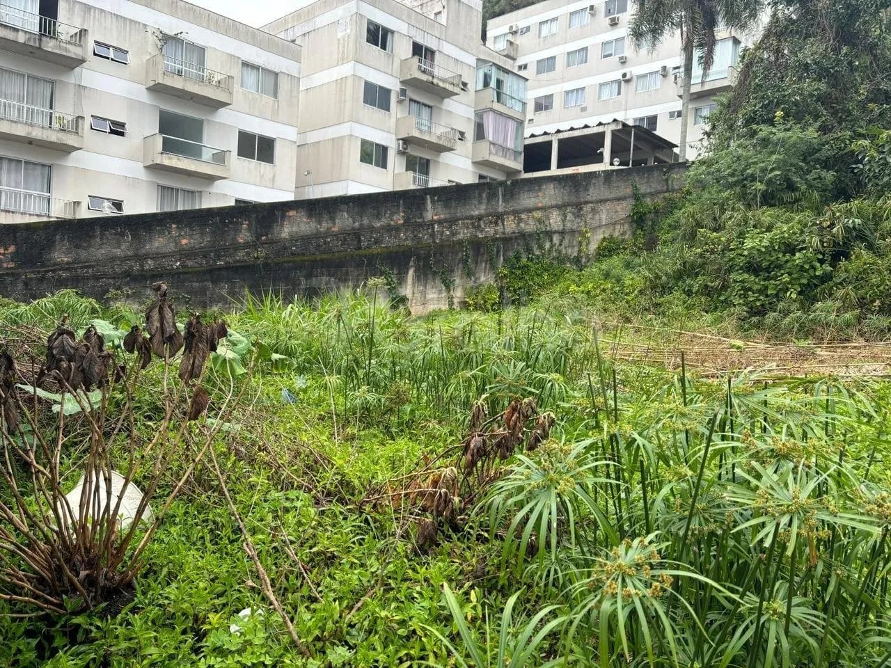 Terreno para venda em Ponta De Baixo com 360 m² — foto 3