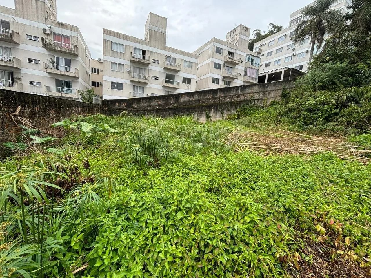 Terreno para venda em Ponta De Baixo com 360 m² — foto 4