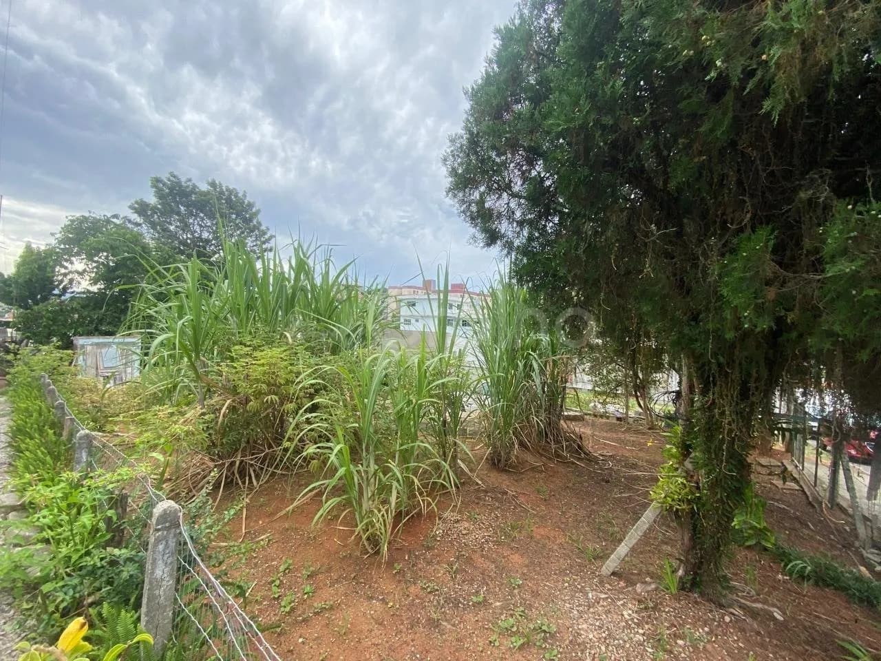 Terreno para venda em Jardim Atlântico com 428 m² — foto principal