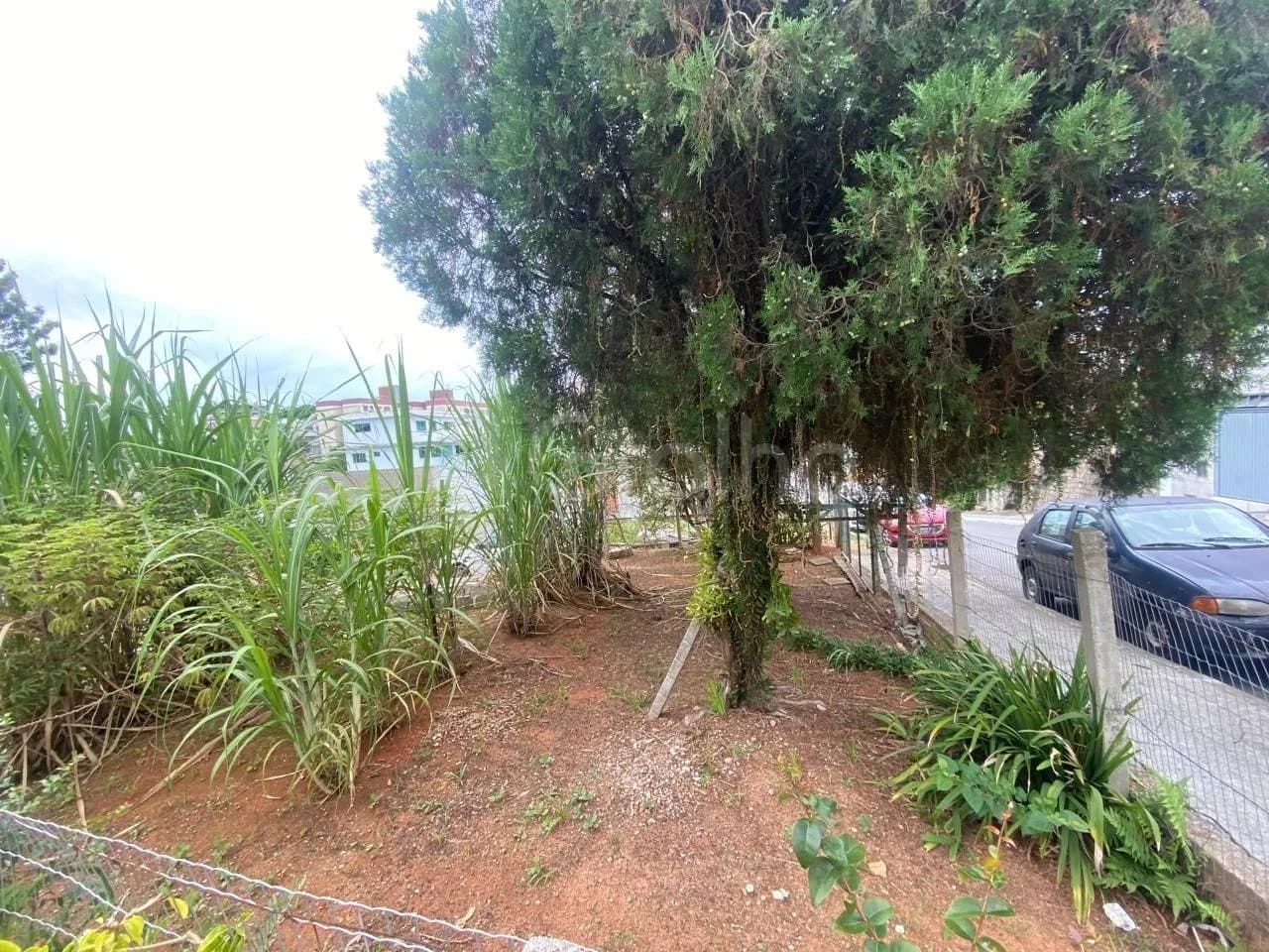 Terreno para venda em Jardim Atlântico com 428 m² — foto 2