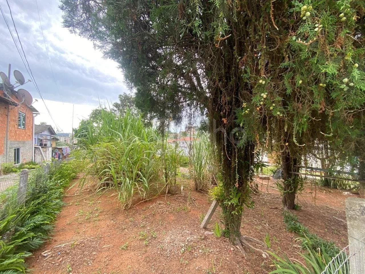 Terreno para venda em Jardim Atlântico com 428 m² — foto 3