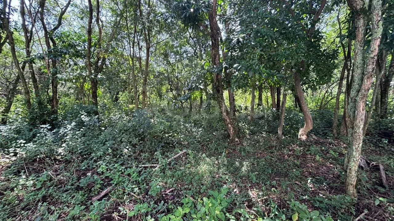 Terreno para venda em Açores com 400 m² — foto 2