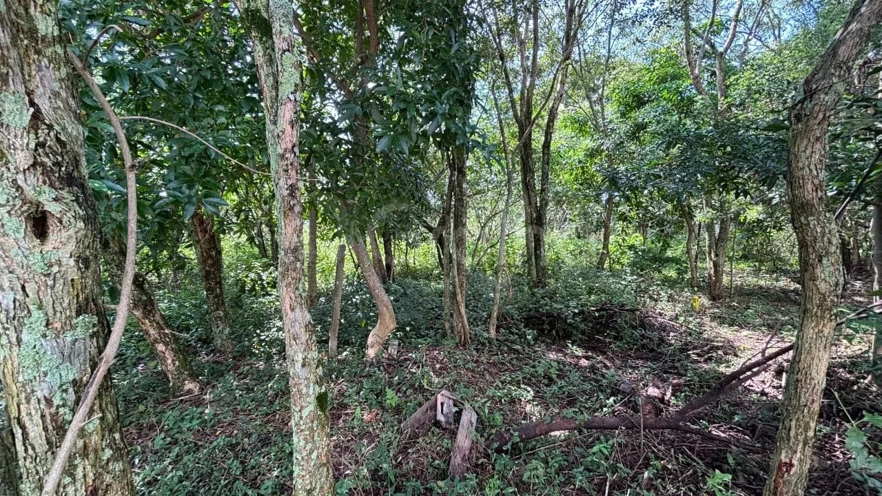 Terreno para venda em Açores com 400 m² — foto 3