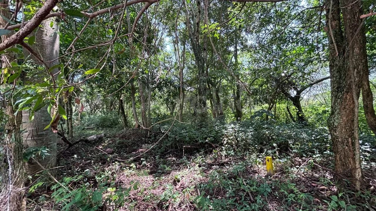 Terreno para venda em Açores com 400 m² — foto 4