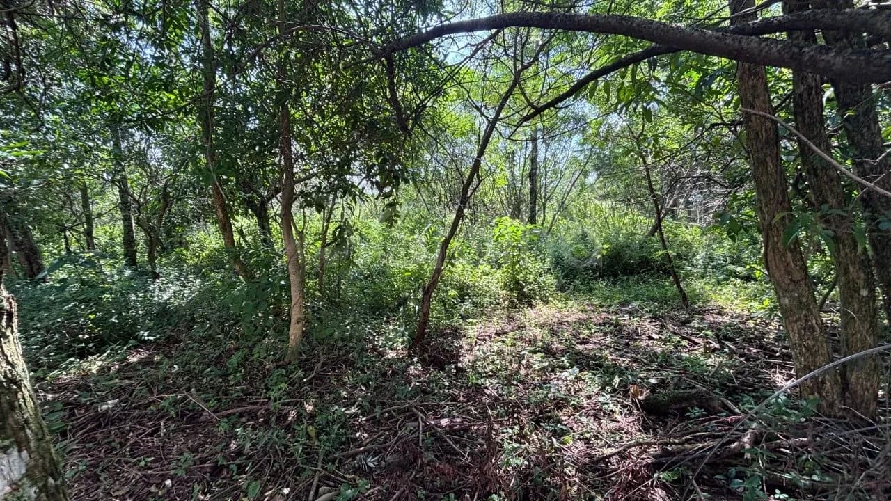 Terreno para venda em Açores com 401 m² — foto 2