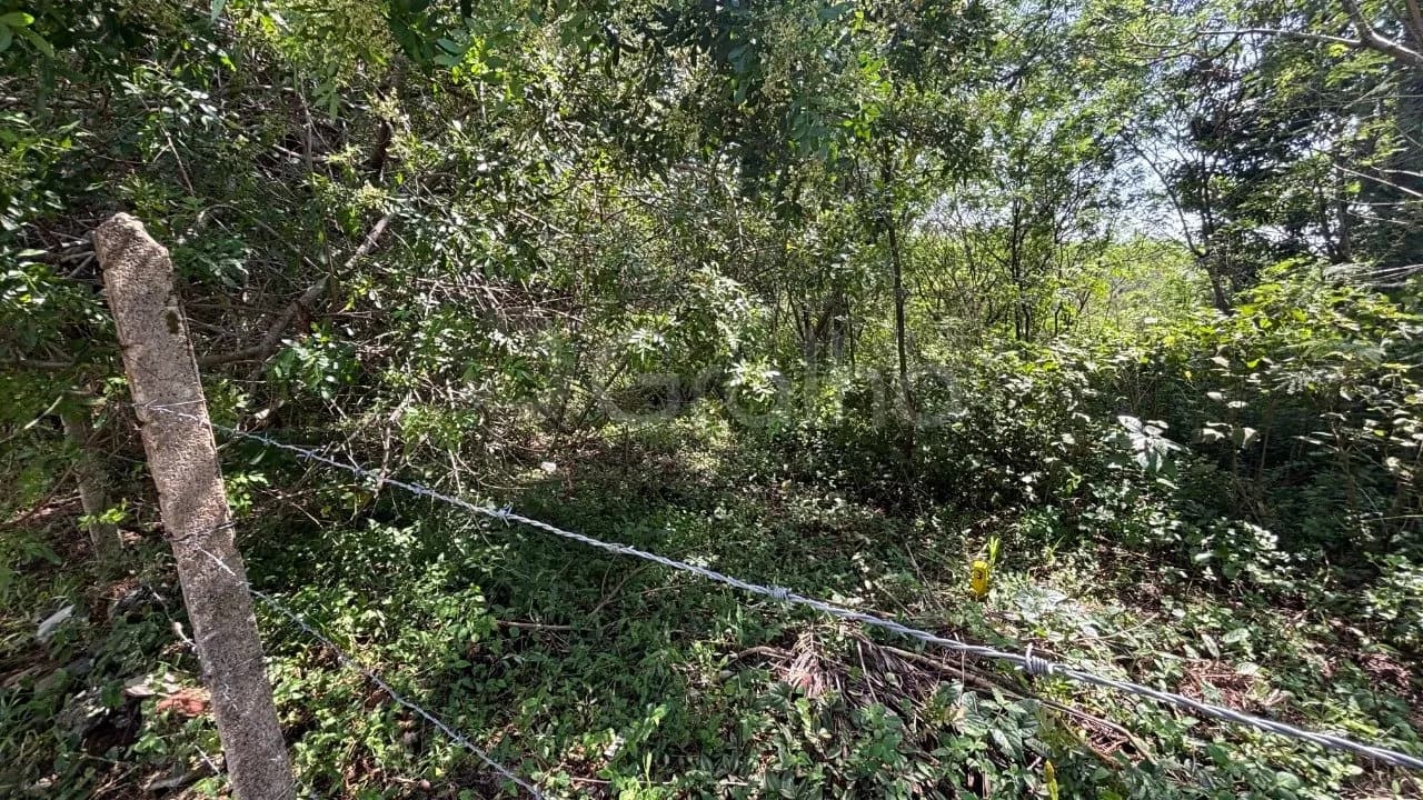 Terreno para venda em Açores com 401 m² — foto 3