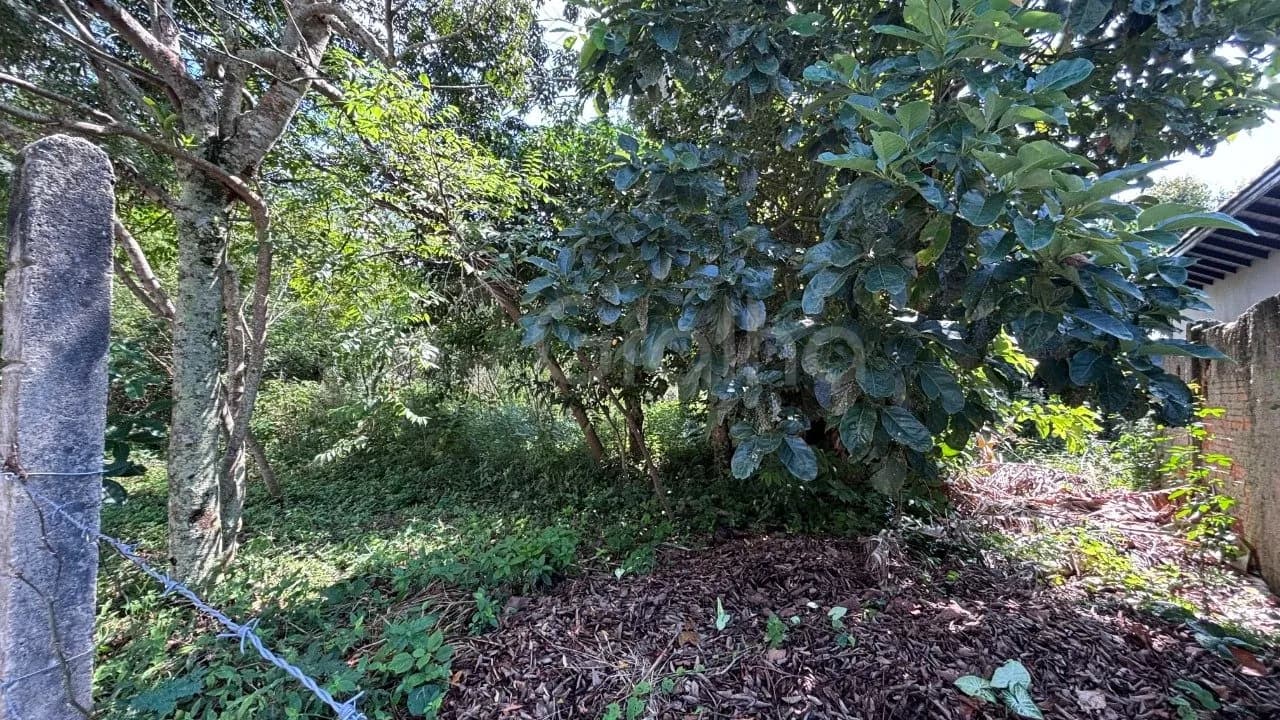 Terreno para venda em Açores com 413 m² — foto 3