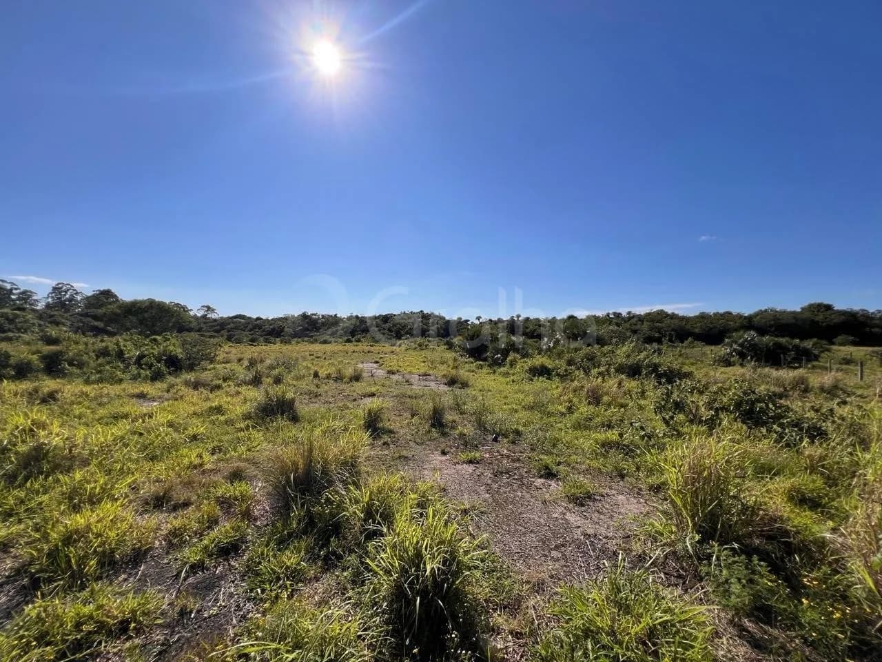 Terreno para venda em Estreito com 40000 m² — foto principal