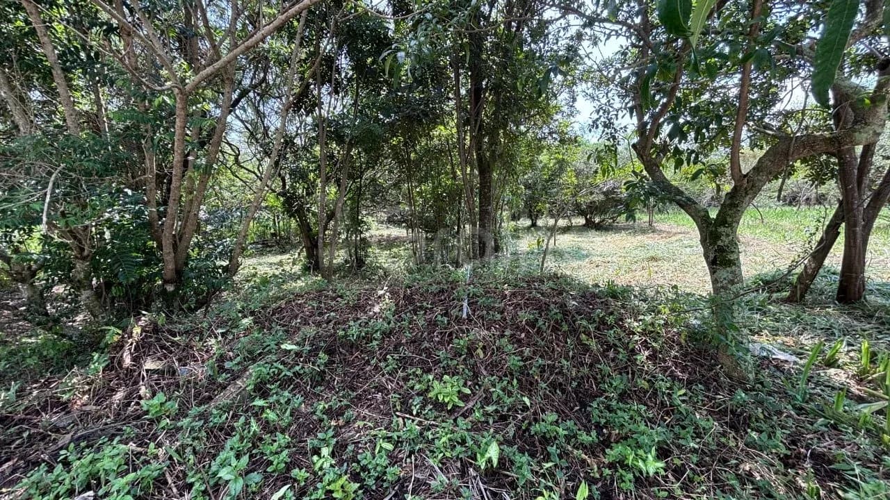 Terreno para venda em Açores com 391 m² — foto 2