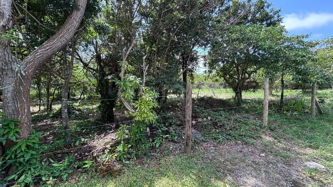 Terreno para venda em Açores com 391 m² — foto 4