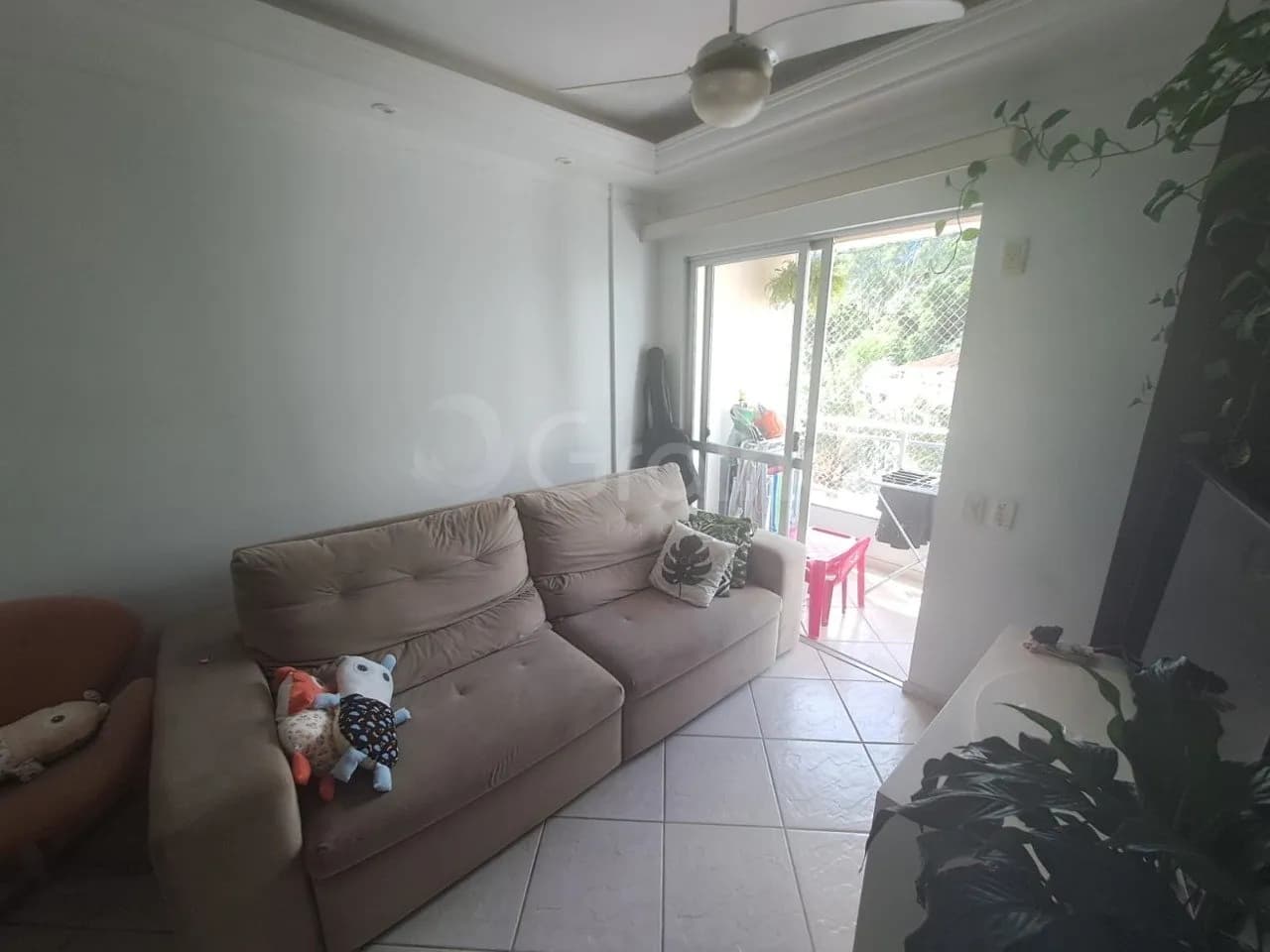 Apartamento para venda com 3 dormitórios em Itacorubi com 74 m² — foto 2