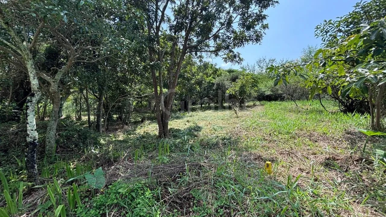 Terreno para venda em Açores com 387 m² — foto principal