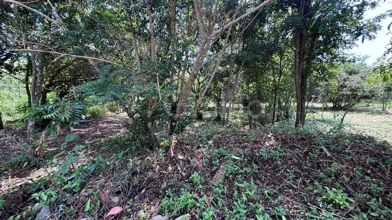 Terreno para venda em Açores com 387 m² — foto 3