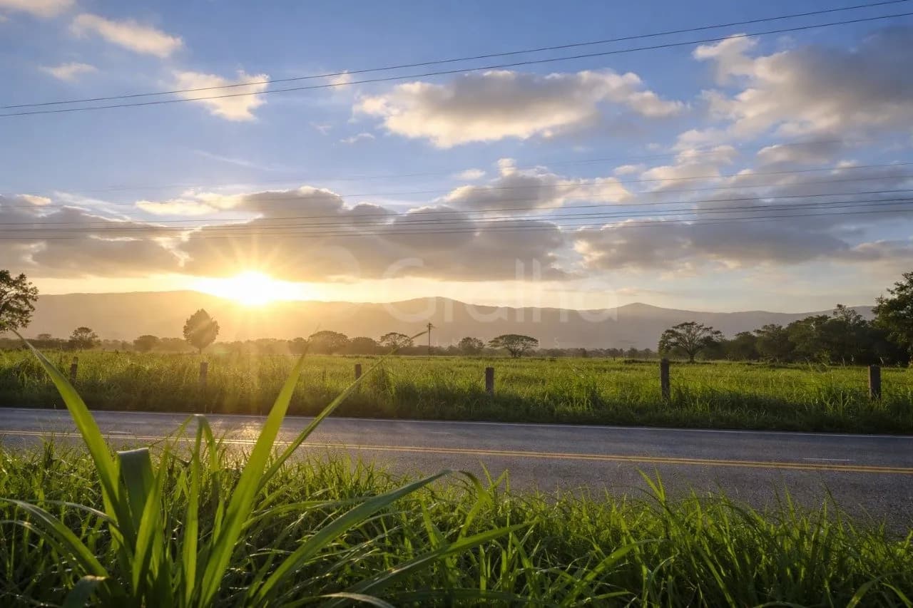 Terreno para venda em Pântano Do Sul com 800 m² — foto principal