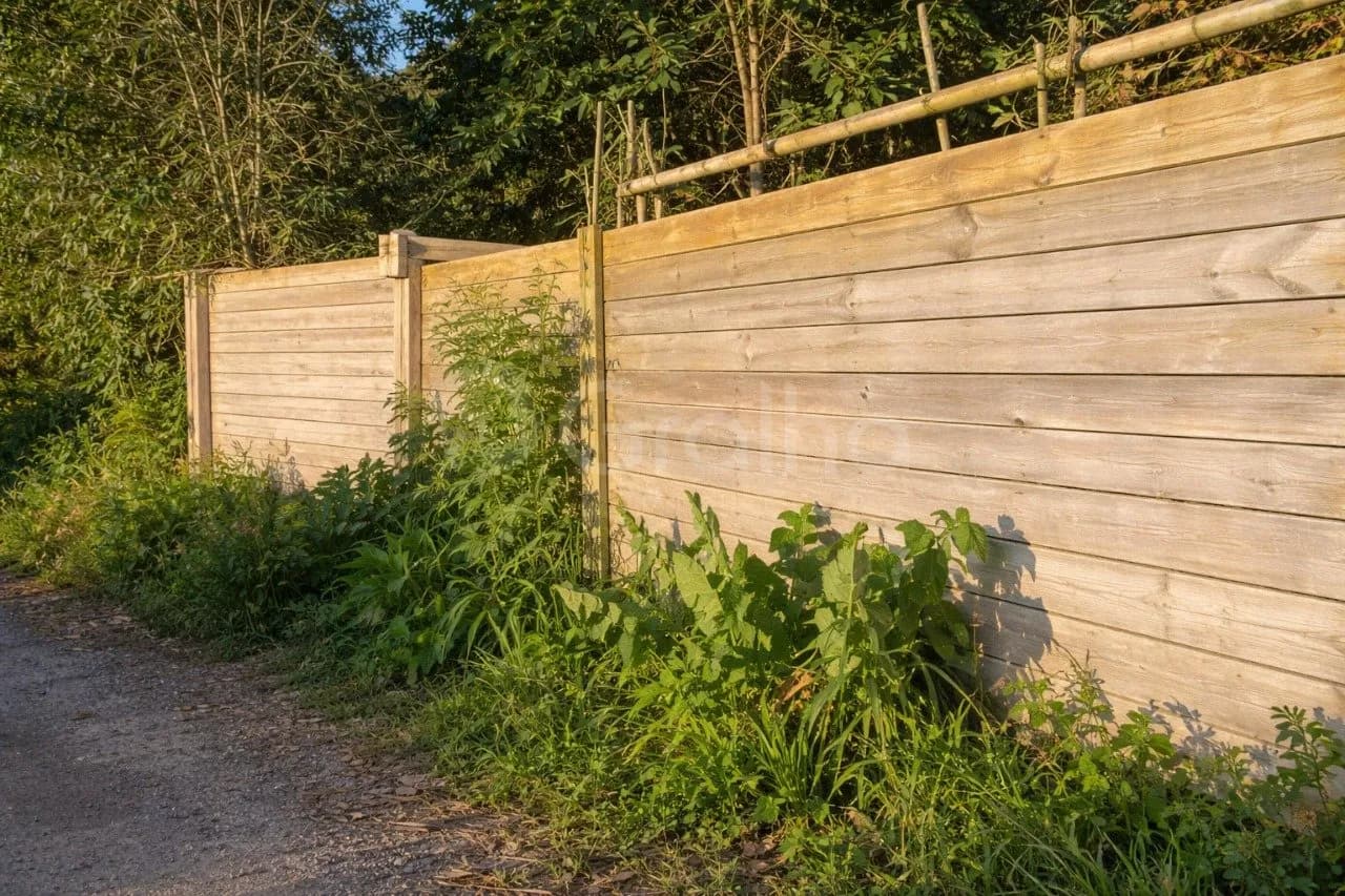 Terreno para venda em Pântano Do Sul com 800 m² — foto 2