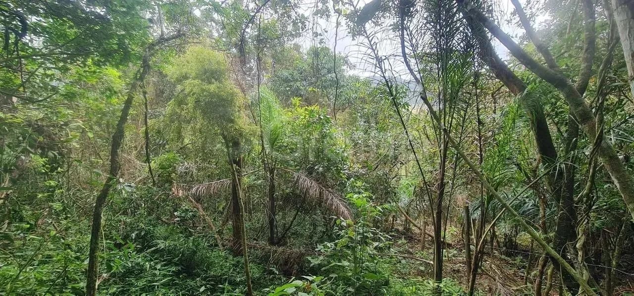 Terreno para venda em Pântano Do Sul com 800 m² — foto 3