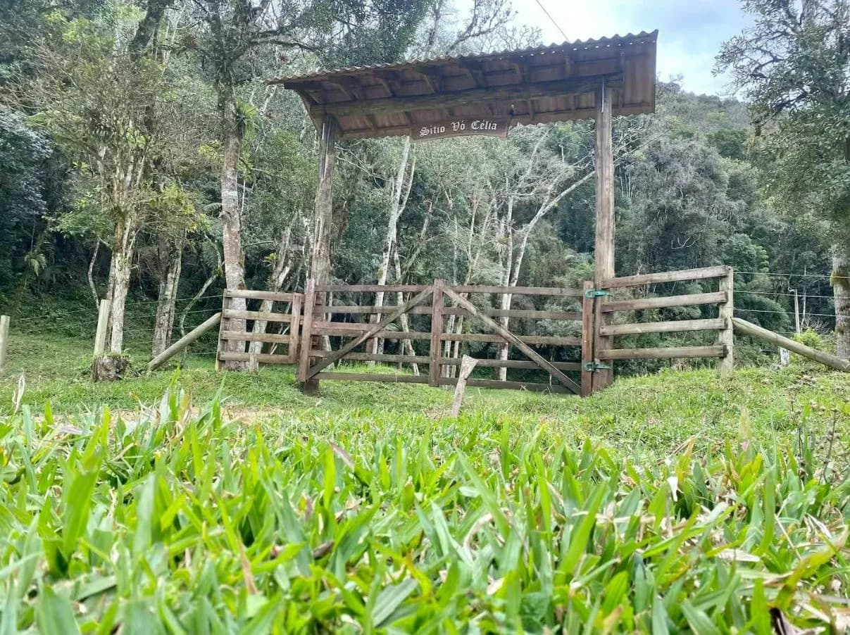 Sitio/fazenda para venda com 4 dormitórios em Angelina com 339012 m² — foto 5