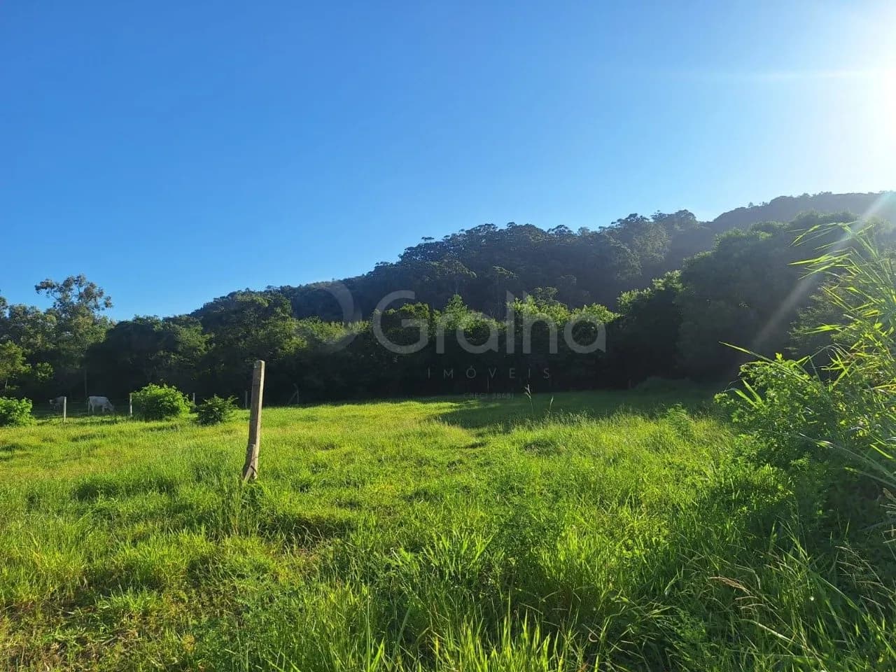 Terreno para venda em Ingleses Do Rio Vermelho com 1702 m² — foto principal