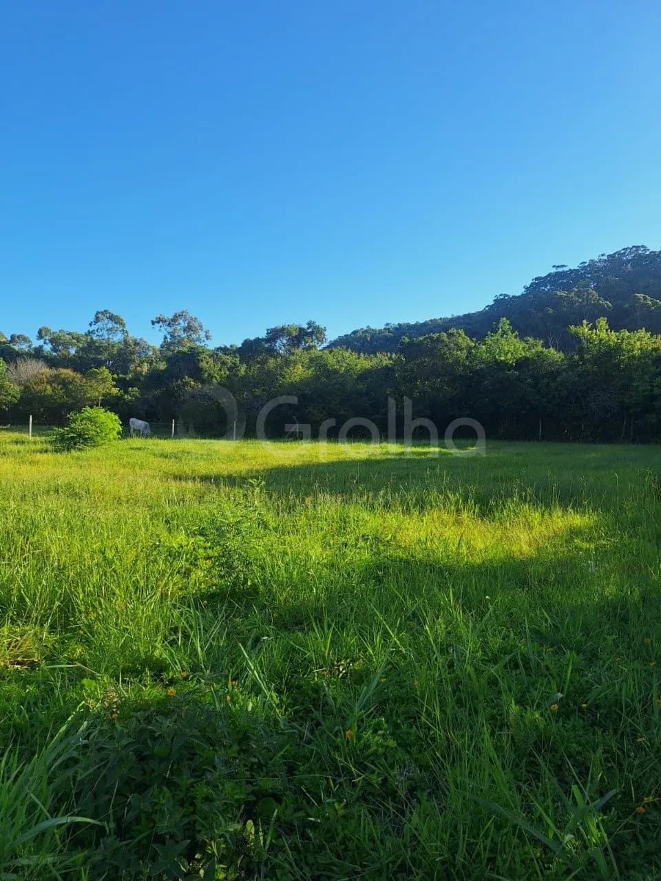 Terreno para venda em Ingleses Do Rio Vermelho com 1702 m² — foto 2