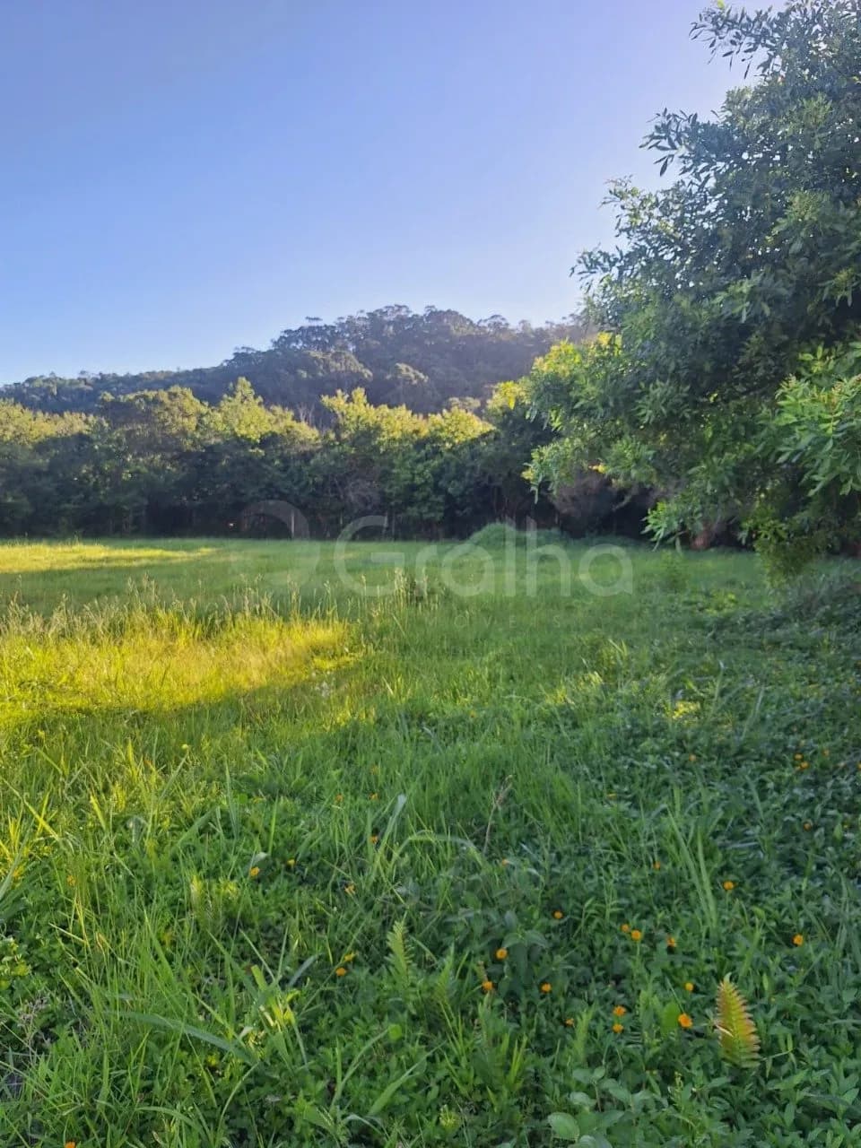 Terreno para venda em Ingleses Do Rio Vermelho com 1702 m² — foto 3