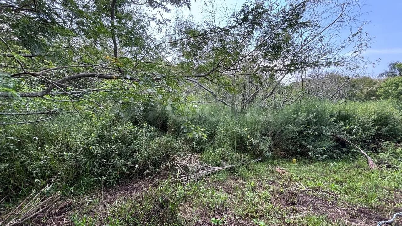 Terreno para venda em Açores com 385 m² — foto 2