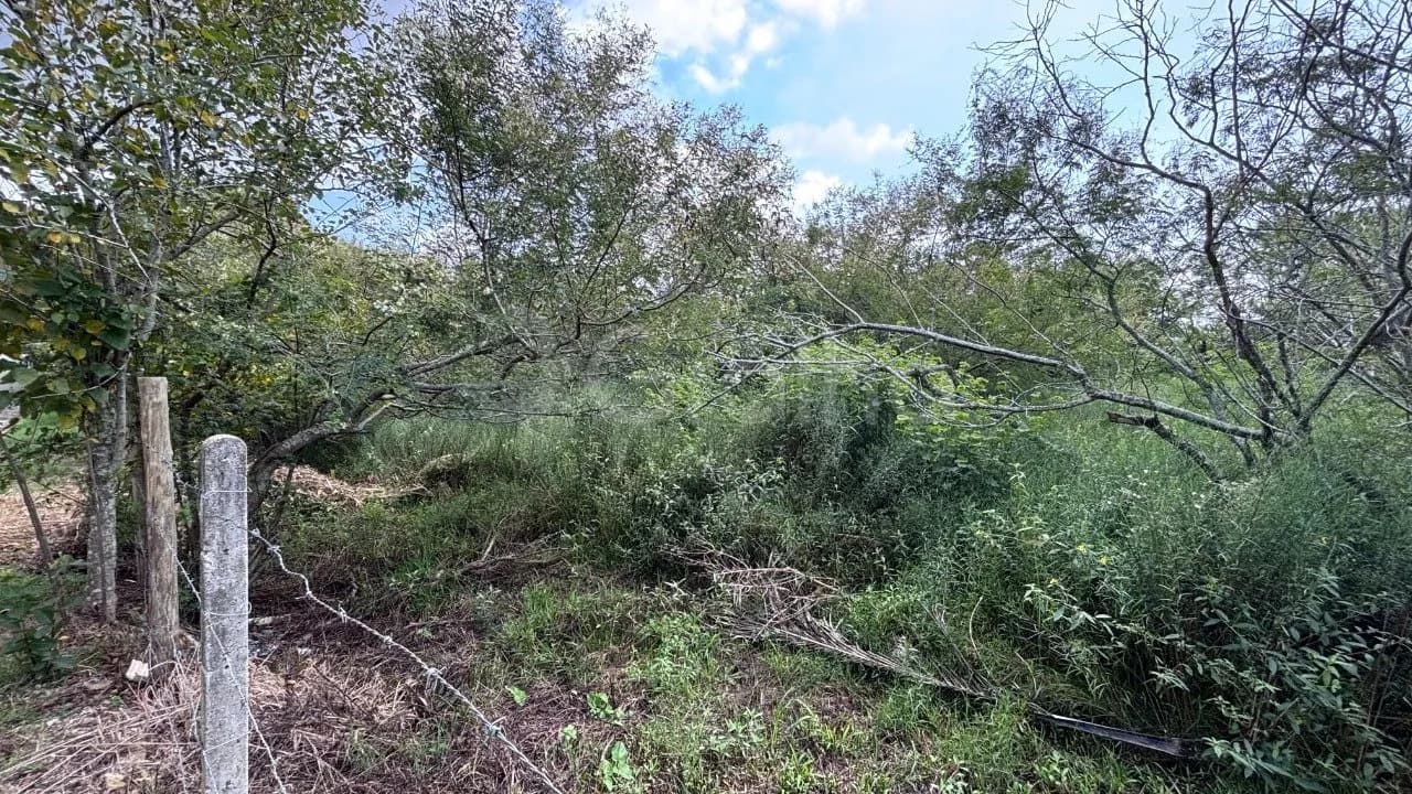 Terreno para venda em Açores com 385 m² — foto 3