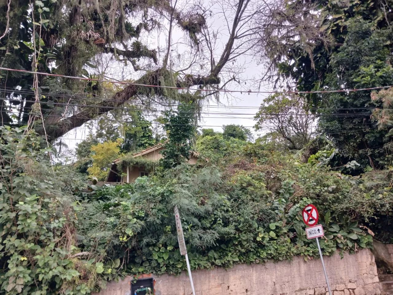Terreno para venda em Centro com 1153 m² — foto 5