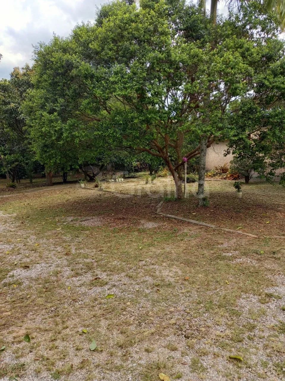 Terreno para venda com 5 dormitórios em Campeche com 2320 m² — foto 5