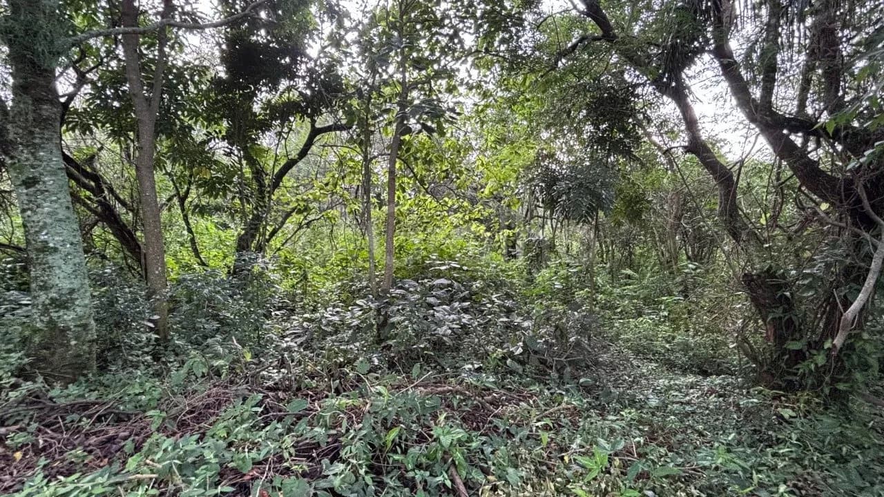 Terreno para venda em Açores com 380 m² — foto 2