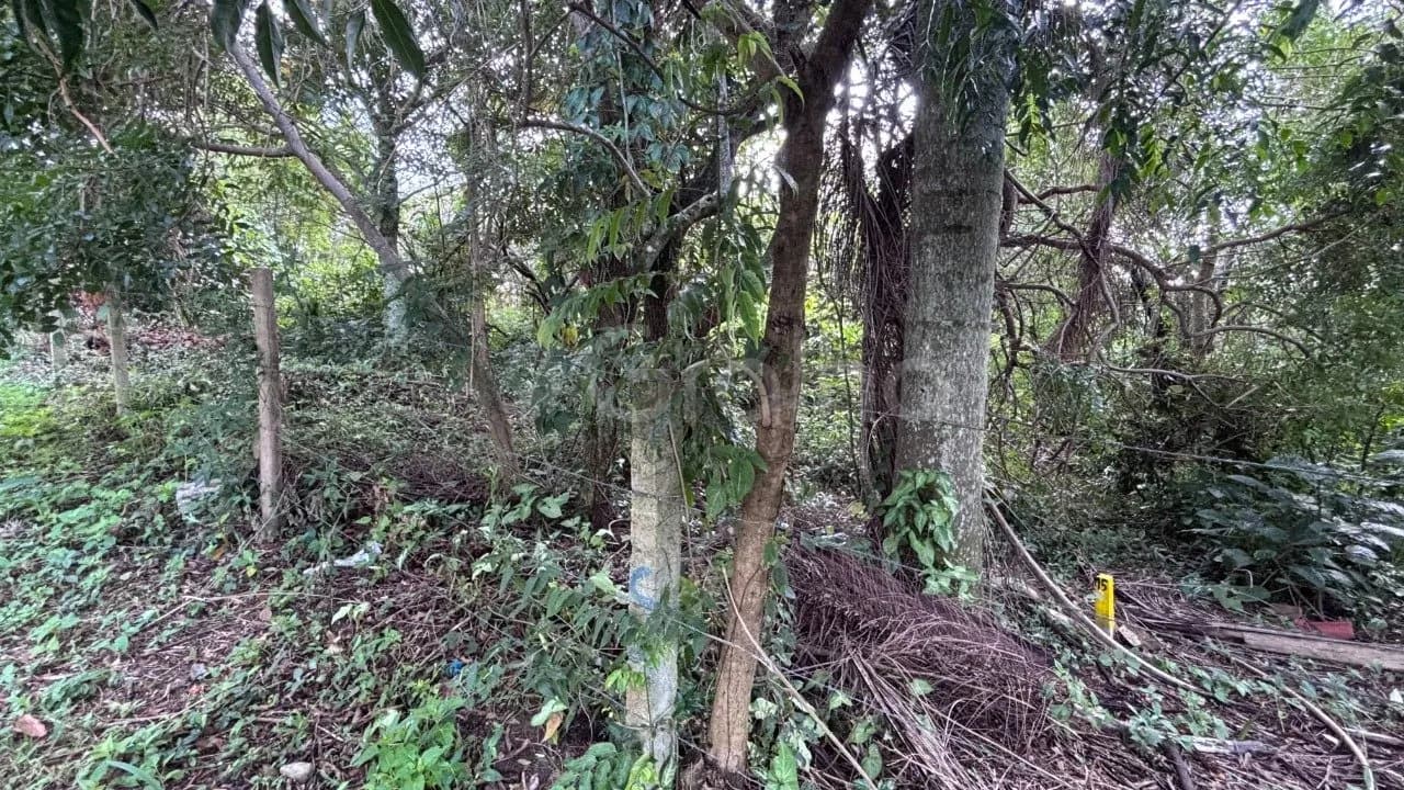 Terreno para venda em Açores com 380 m² — foto 3