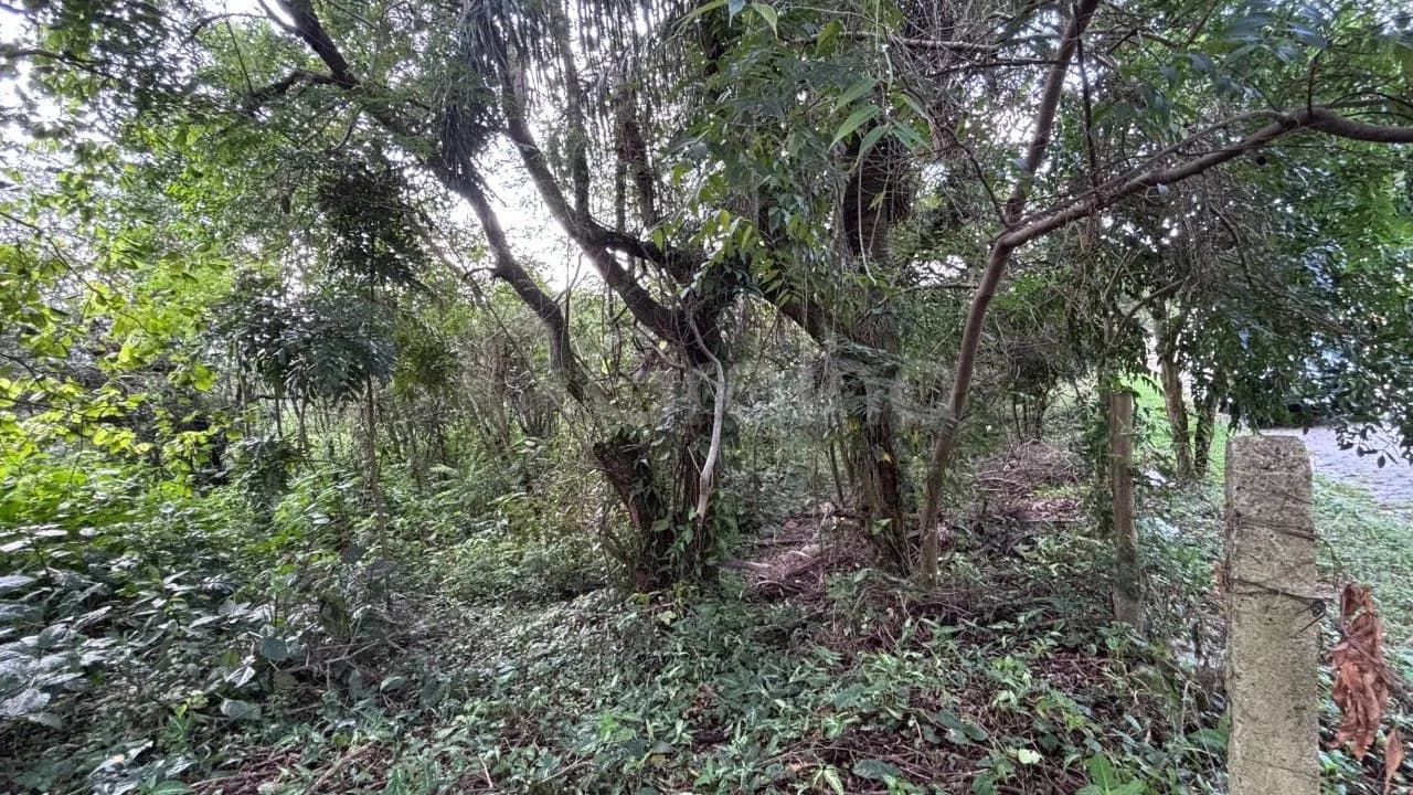 Terreno para venda em Açores com 380 m² — foto 4