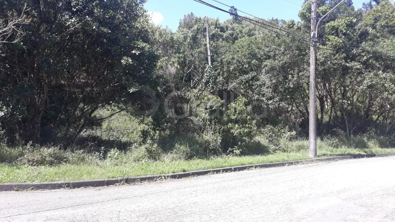 Terreno para venda em Joao Paulo com 734 m² — foto 5