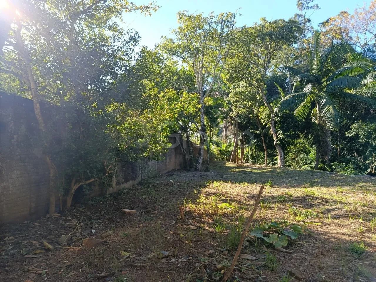 Terreno para venda em Pantanal com 5881 m² — foto 2