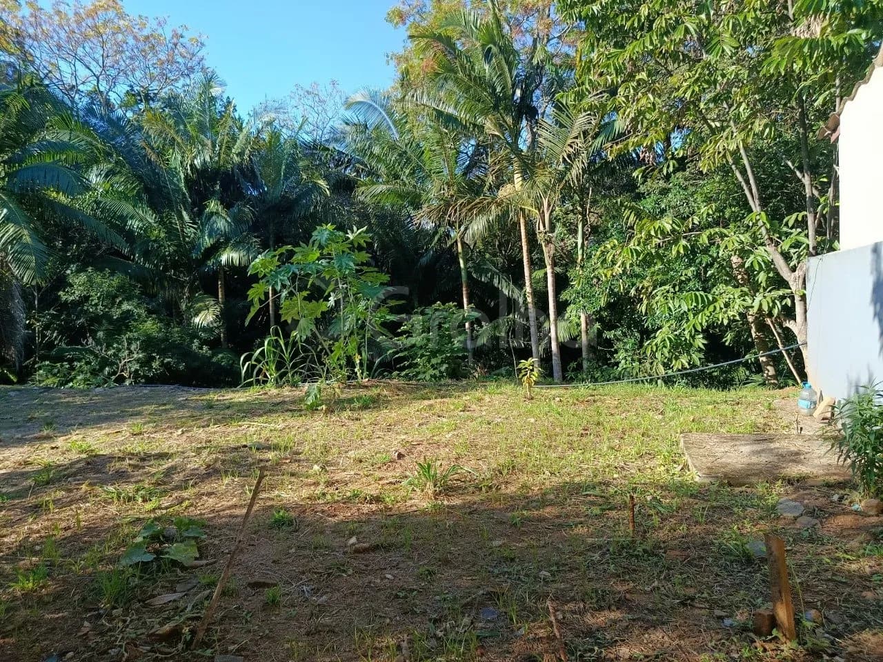 Terreno para venda em Pantanal com 5881 m² — foto 3