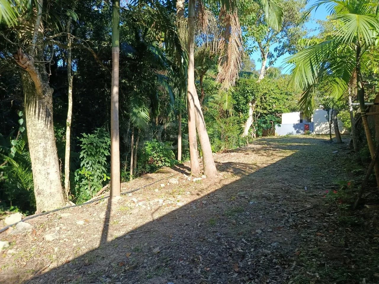 Terreno para venda em Pantanal com 5881 m² — foto 4