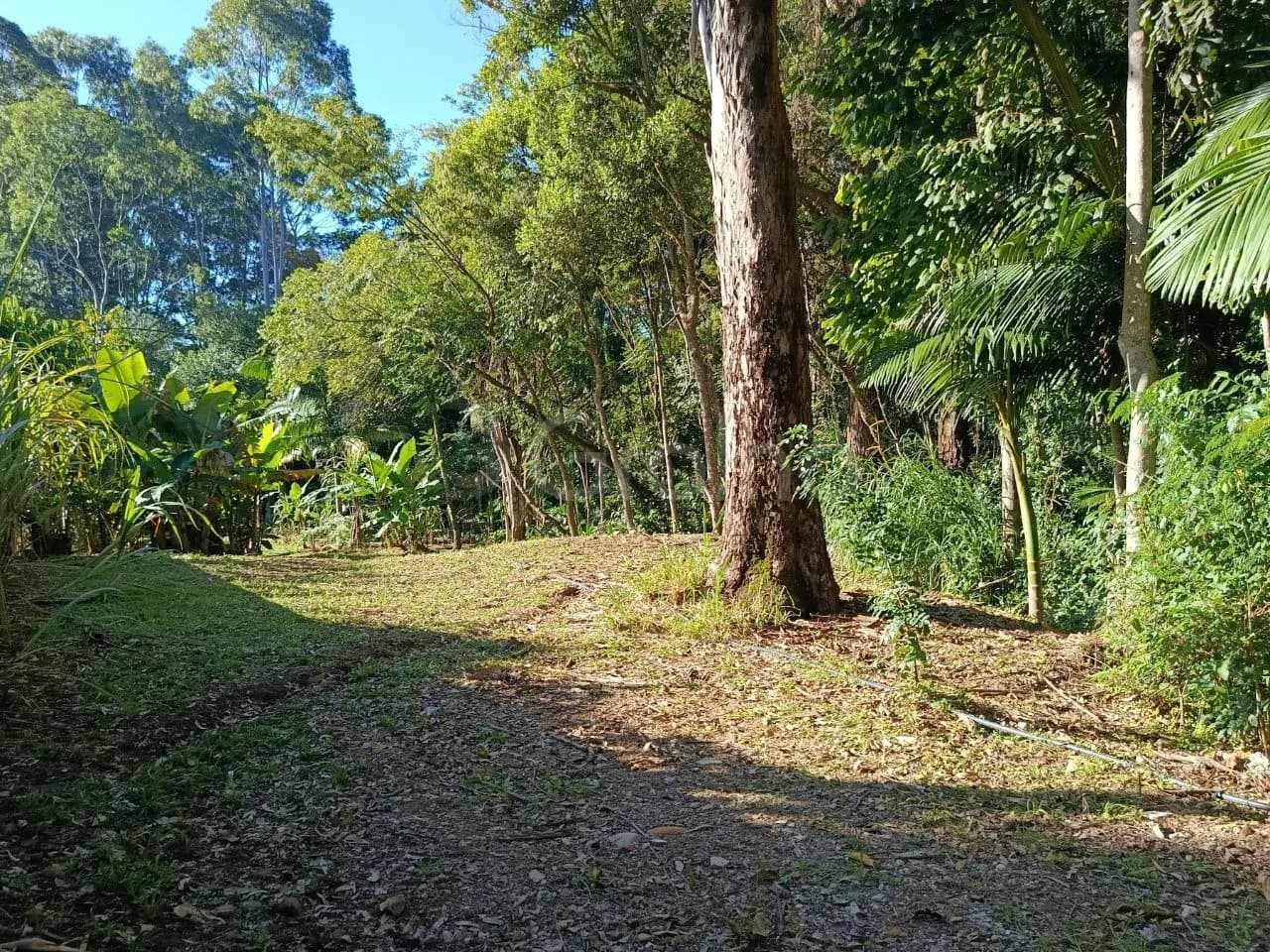 Terreno para venda em Pantanal com 5881 m² — foto 5