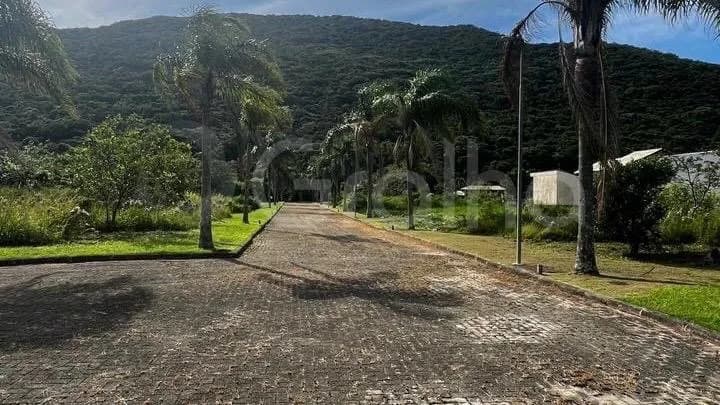 para venda em Pântano Do Sul com 375 m² — foto 5