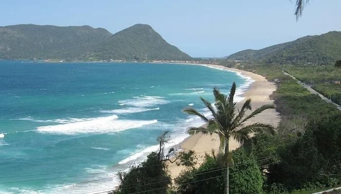 Terreno para venda em Morro Das Pedras com 952 m² — foto 5