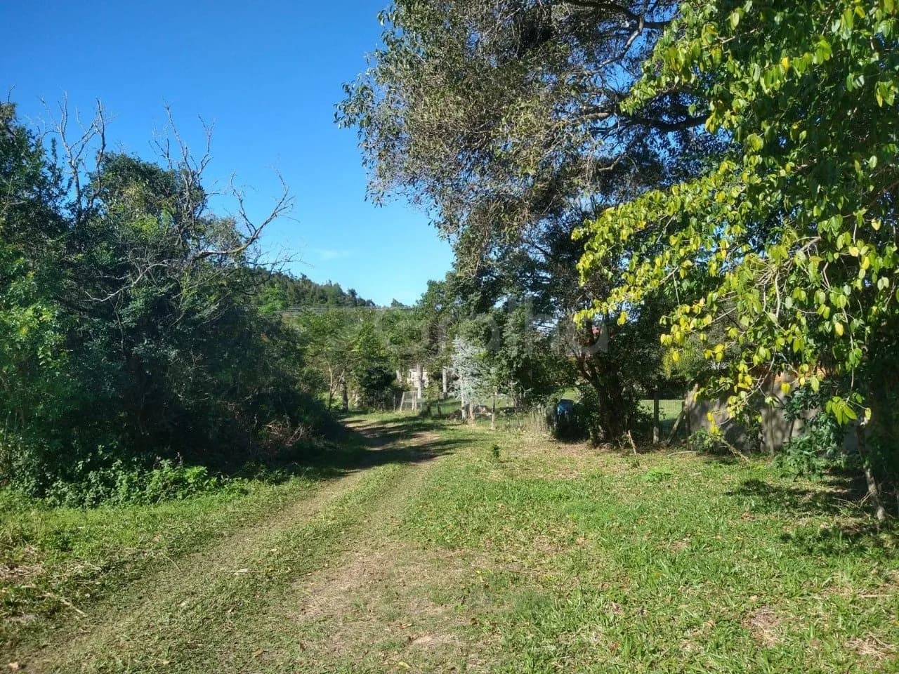 Terreno para venda em Ingleses com 20300 m² — foto 3