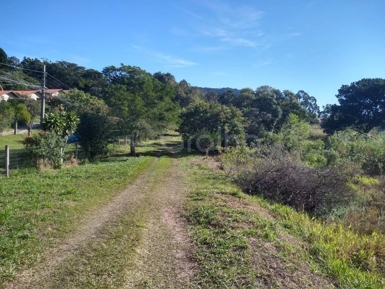 Terreno para venda em Ingleses com 20300 m² — foto 4