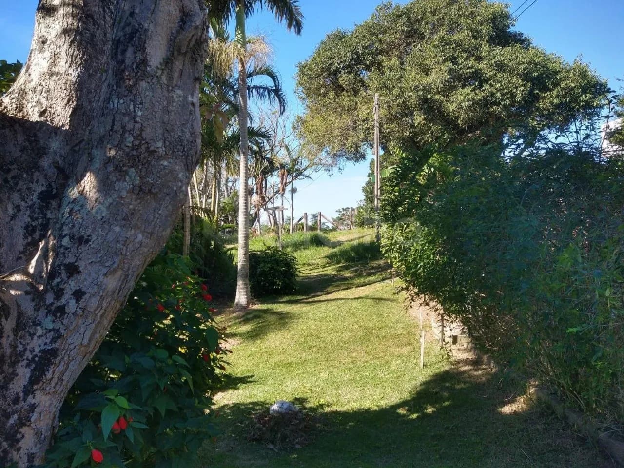 Terreno para venda em Ingleses com 20300 m² — foto 5