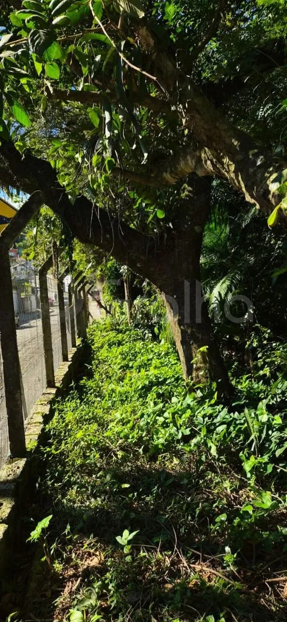 Terreno para venda em Saco Grande com 9693 m² — foto 2