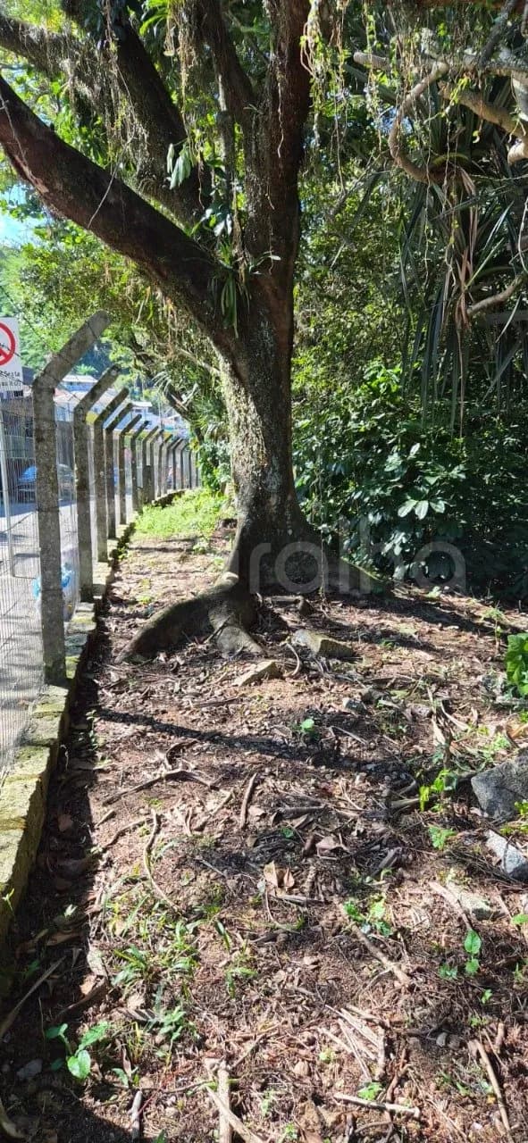 Terreno para venda em Saco Grande com 9693 m² — foto 3