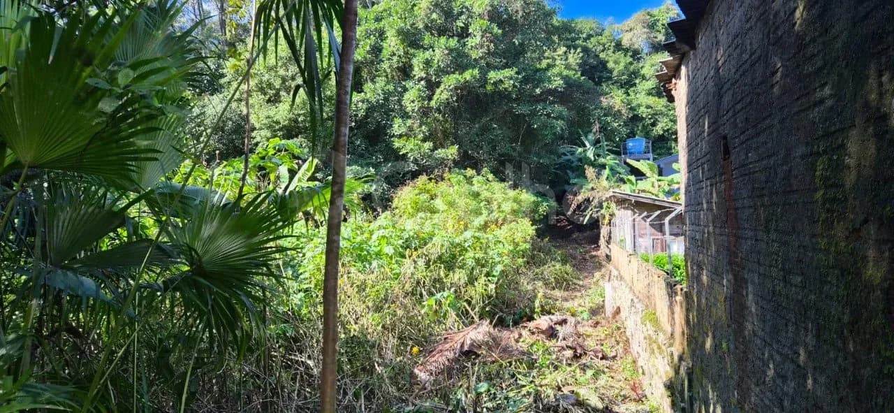 Terreno para venda em Saco Grande com 9693 m² — foto 4