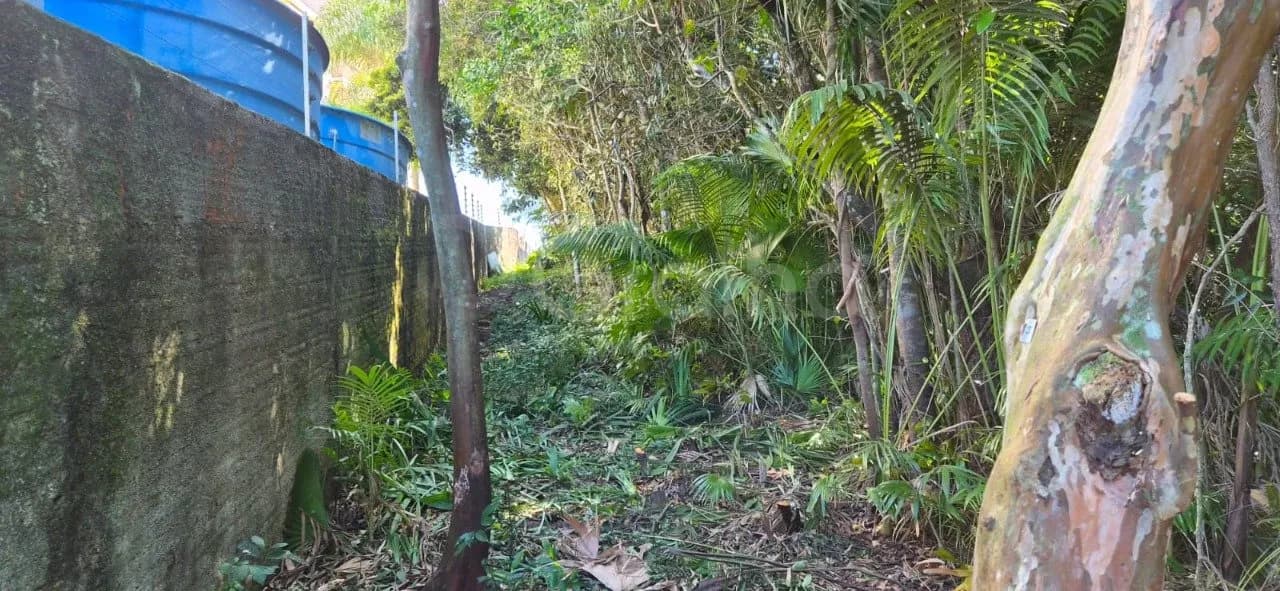 Terreno para venda em Saco Grande com 9693 m² — foto 5