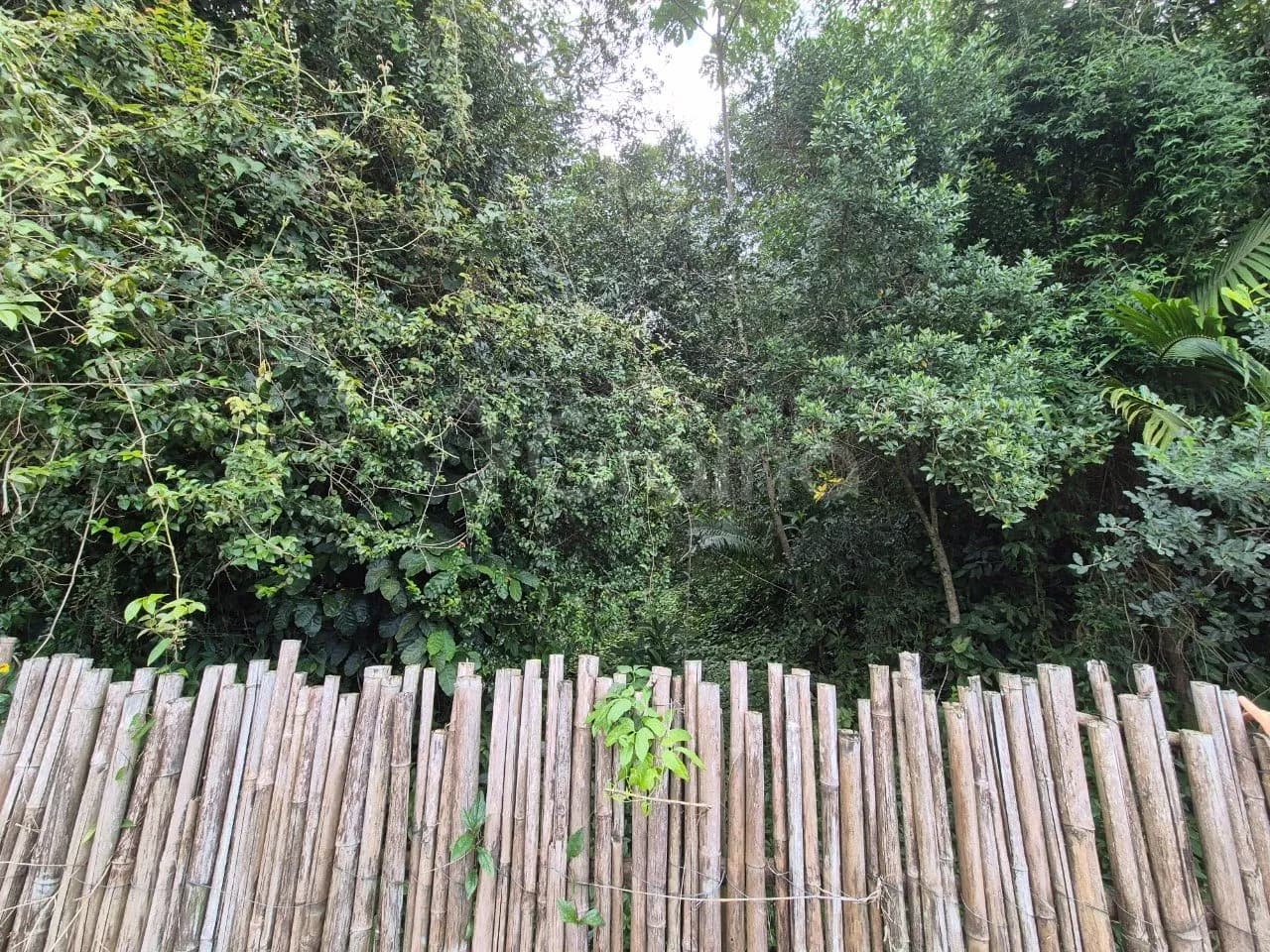 Terreno para venda em Santo Antônio de Lisboa com 20003 m² — foto 4