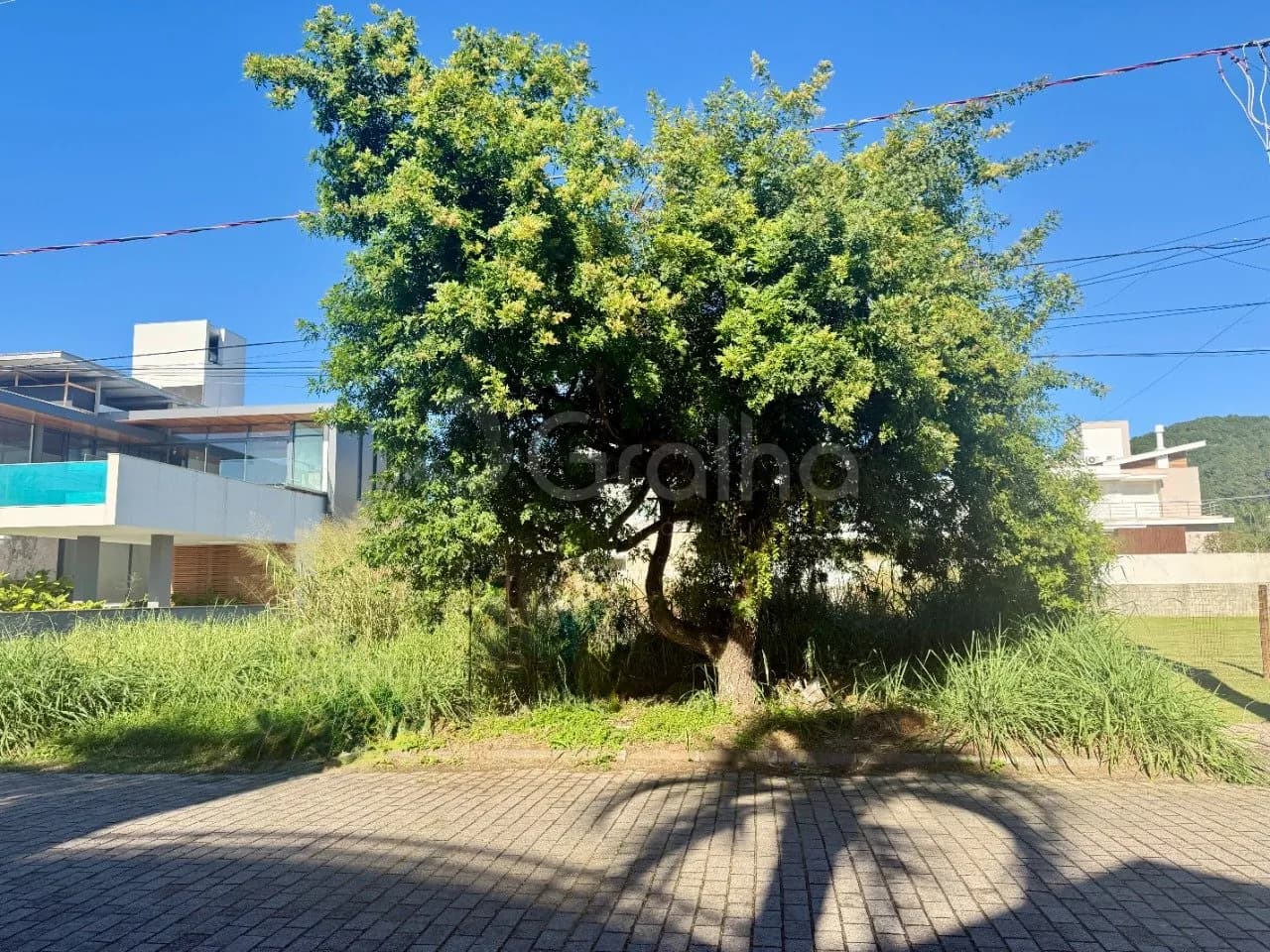 Terreno para venda em Jurerê Internacional com 600 m² — foto 3