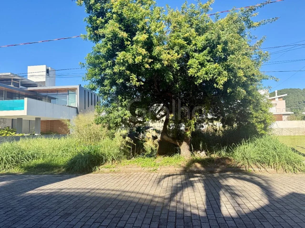 Terreno para venda em Jurerê Internacional com 600 m² — foto 4