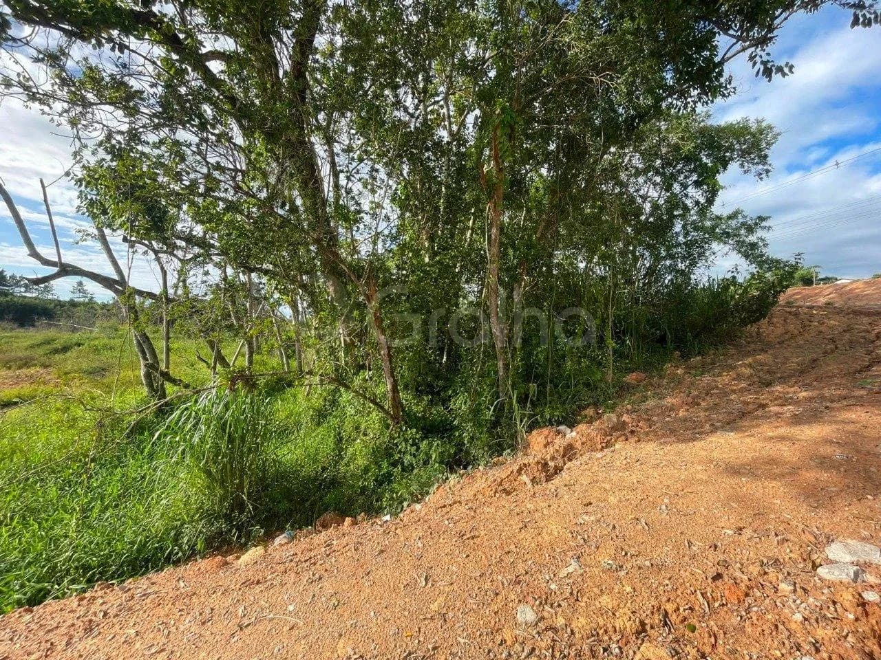 Terreno para venda em Areia De Baixo com 17117 m² — foto 3